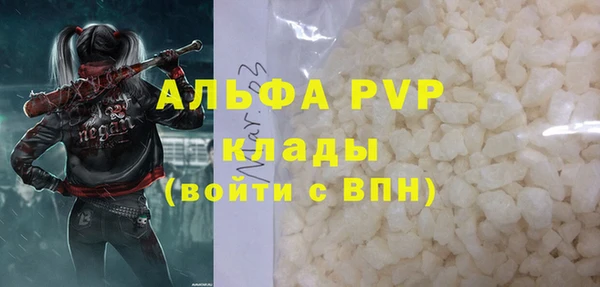 дмт Богданович