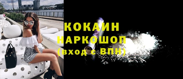 дмт Богданович