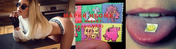 дмт Богданович