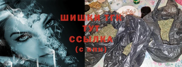 дмт Богданович