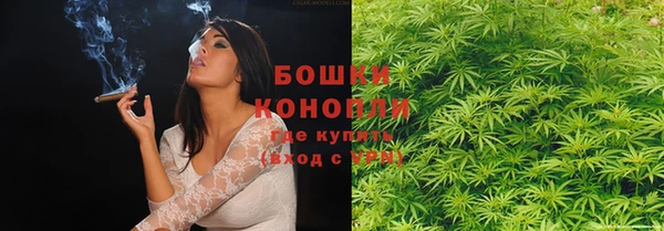 дмт Богданович