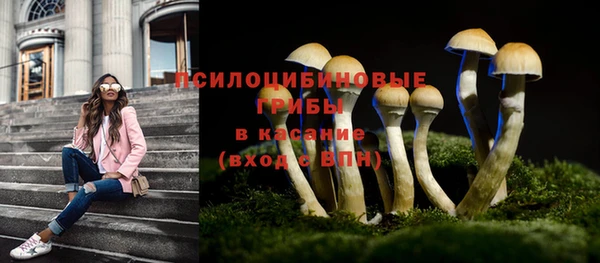 кристаллы Богородск